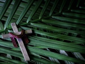 palm branch with cross