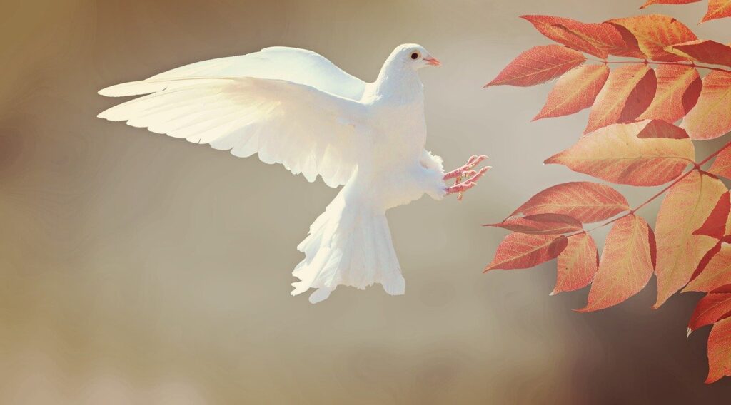 Dove, Holy Spirit