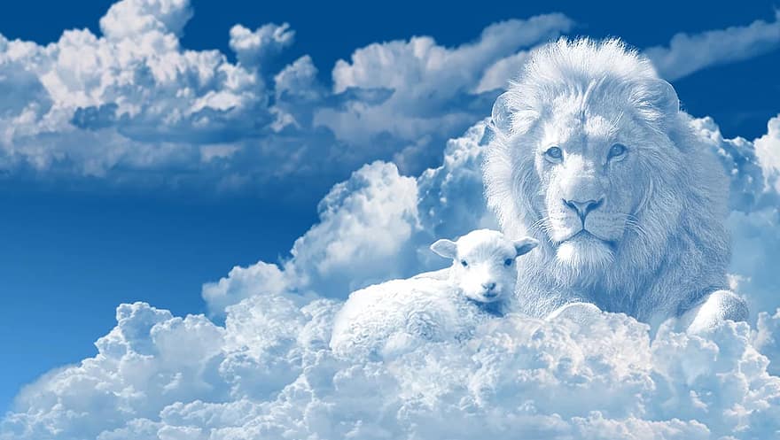 Lion and the lamb, clouds