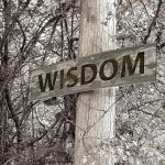 60 Greatest Bible Verses About Wisdom