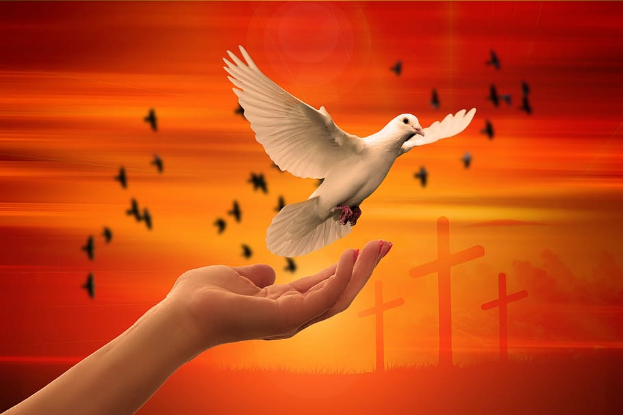50 Popular Bible Verses About The Holy Spirit
