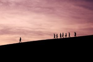 silhouette of group of people