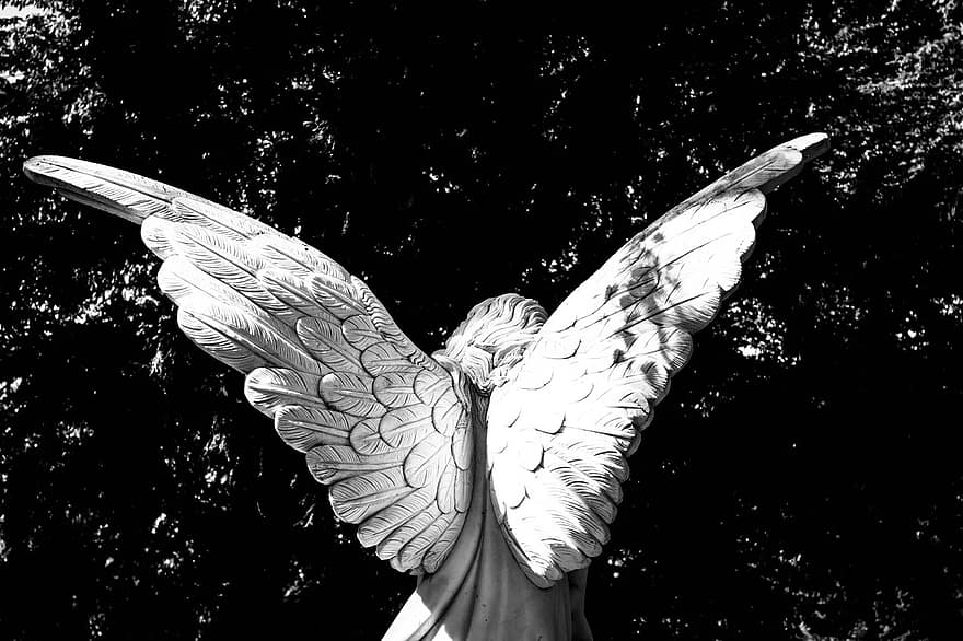 Angel, wings of angel