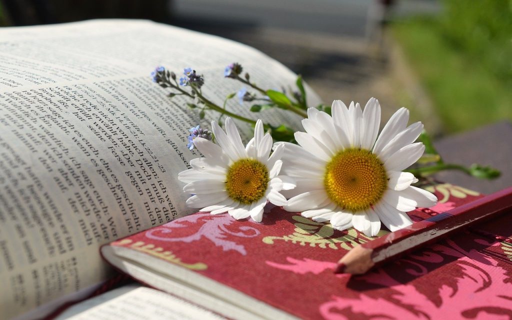 Bible, Study, Daisies, Funny Bible Verses