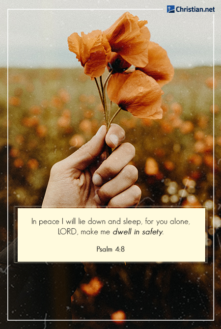 photo of a hand holding orange flowers, field of orange flowers in the background, bible verses about peace and rest