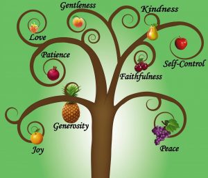 Fruits of the spirit