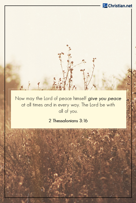 photo of dry brown plants and flowers, backlit, soft lighting, bible verses about peace