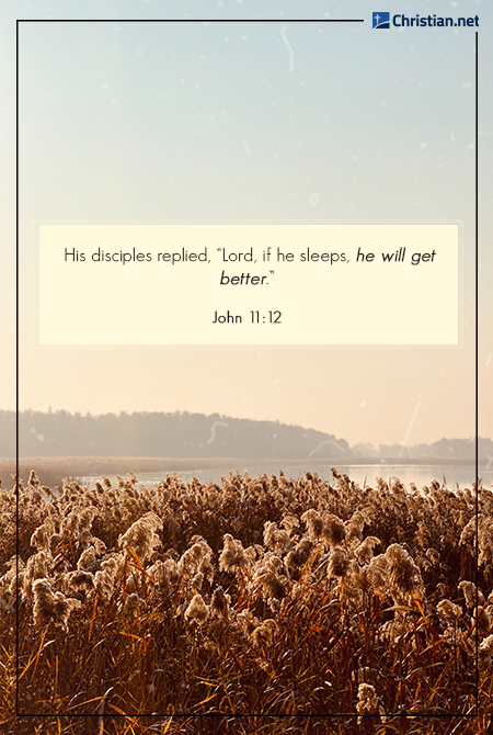 photo of a field of tall brown dried plants, mountains in the background, bible verses about sleep and rest
