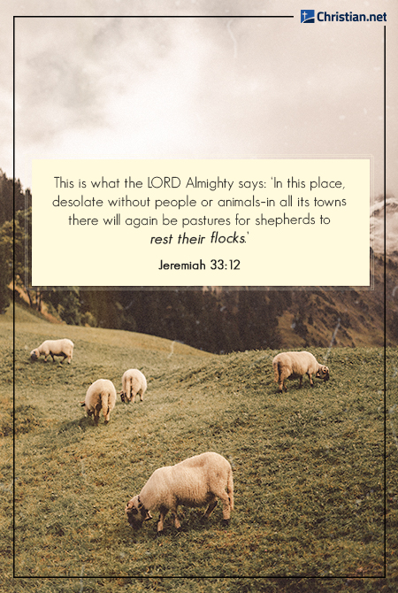 photo of four sheep eating grass on a mountaintop, bible verses about rest
