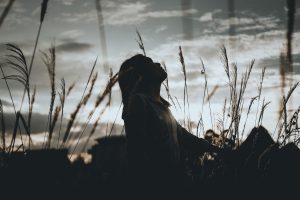 silhouette of a woman sitting on grass