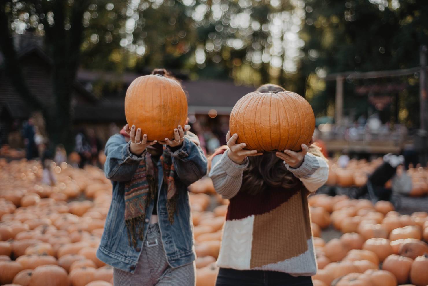 photo of two people holding up pumpkins to their faces, in a pumpkin patch