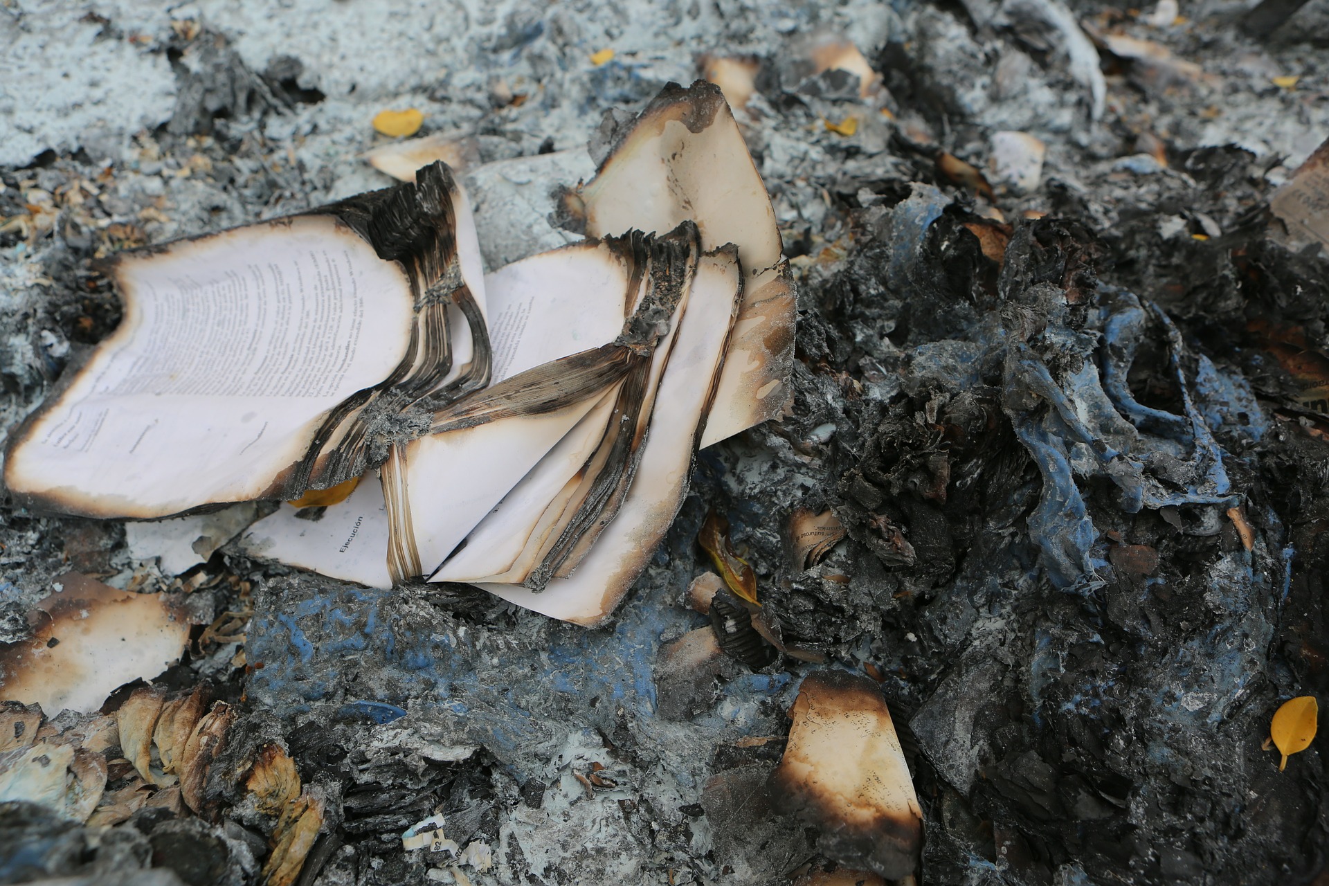 burnt books