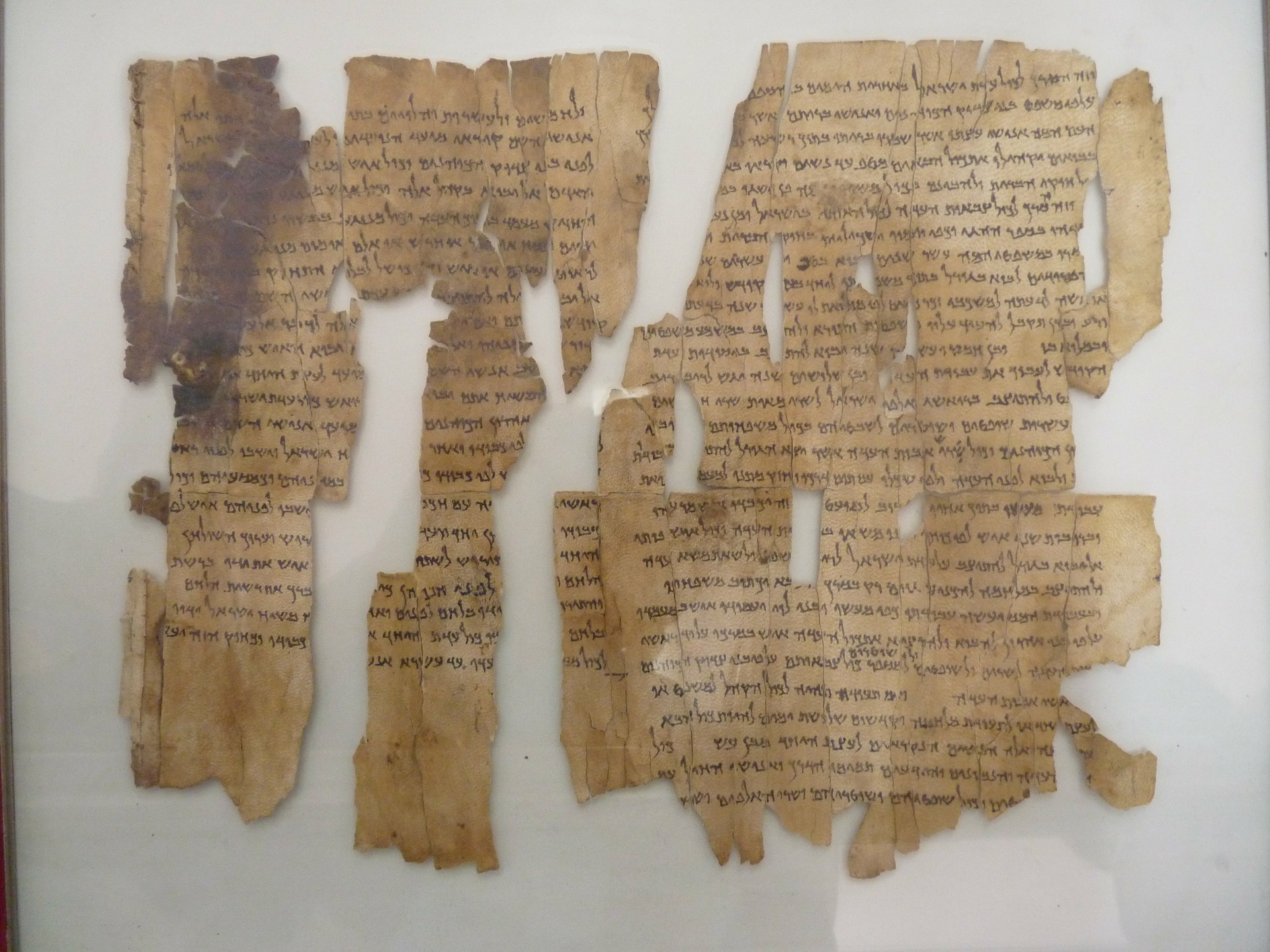 Pieces of manuscript