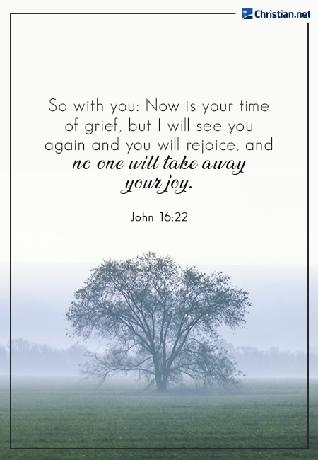 photo of a tree in the center of a green field during a foggy day, assurance prayer for grief