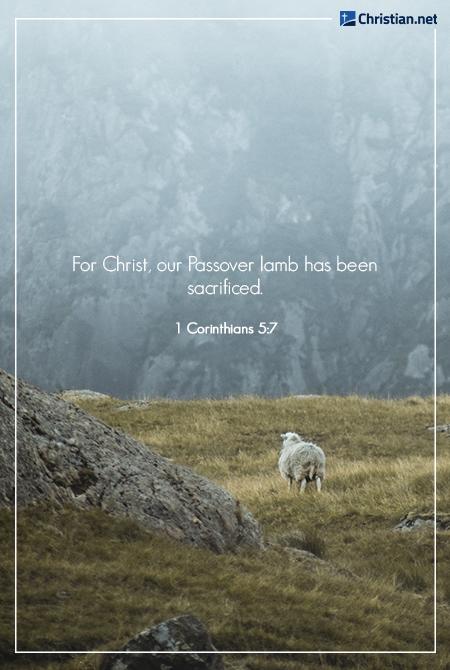 christ our passover lamb