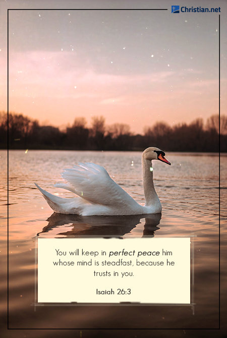 bible verse for peace