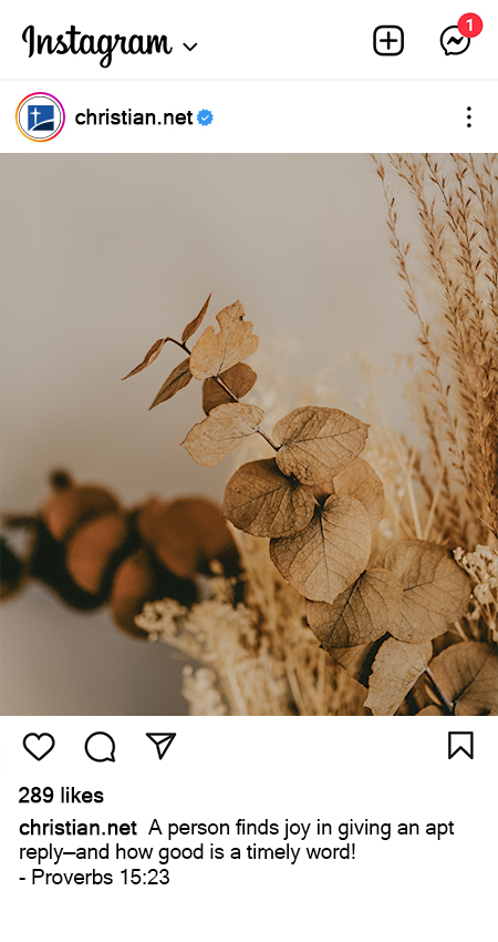 dried plants, instagram bible verse