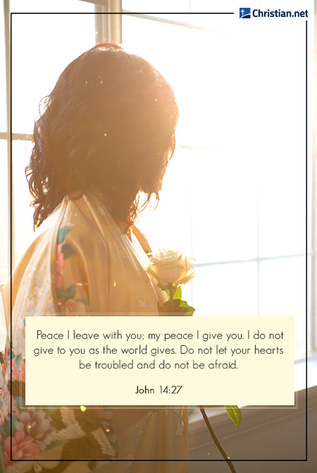 woman with curled hair holding a white rose and looking out the window, encouraging bible verse about loving yourself