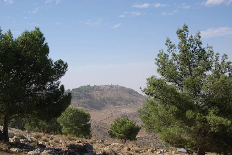 east view of mount nebo, trees and bushes in the foreground, blue sky, rocky terrain