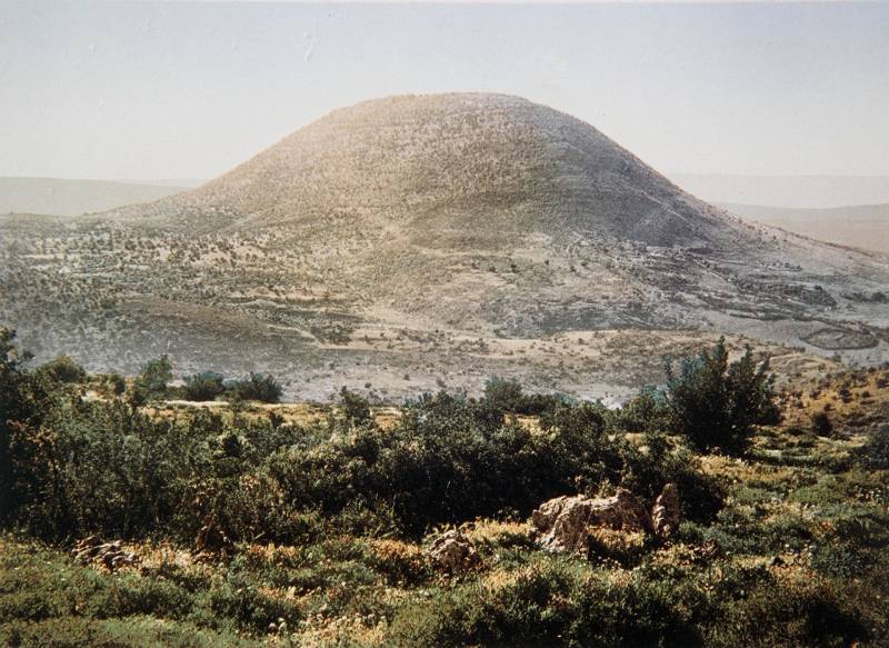 photo of mount tabor, grass and bushes on the ground