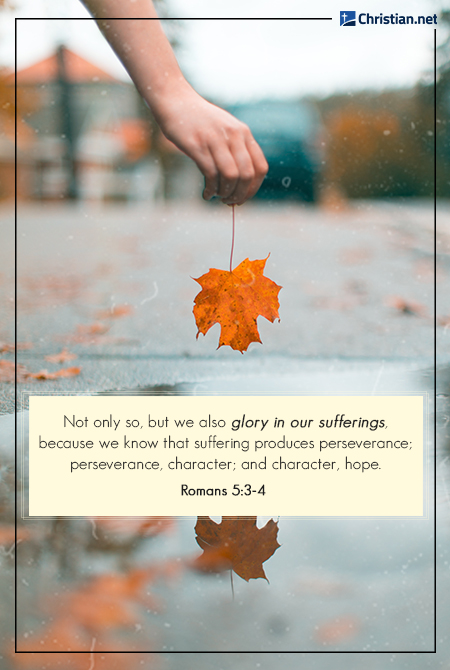 rejoice in suffering