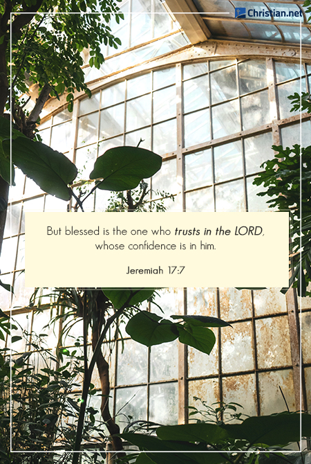 photo of different green and leafy plants in a greenhouse, bible verses for overwhelming times