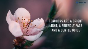 close up photo of a pink flower, bible verses for teachers