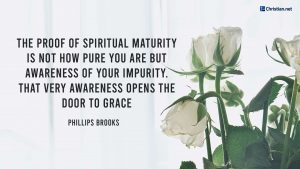 a bunch of white roses against a white curtain backdrop, bible verses on purity, bible verses on purity, bible verses on purity