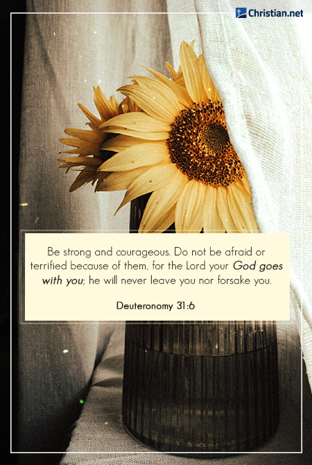 sunflowers in a glass vase by a windowsill, partly hidden by white curtains, bible verses for overwhelming times