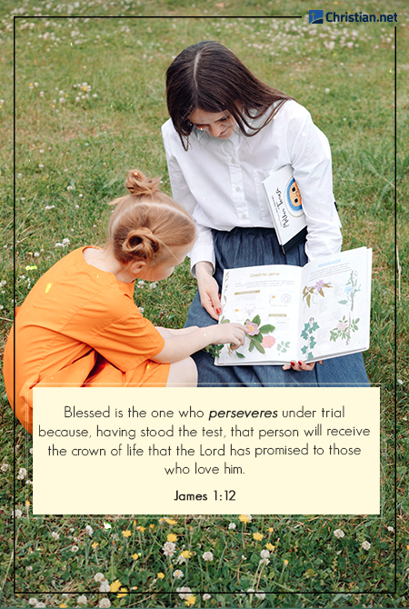 photo of a lady with long hair wearing a white blouse and blue skirt showing a picture book to a young girl in twin buns and wearing an orange dress, on a green field