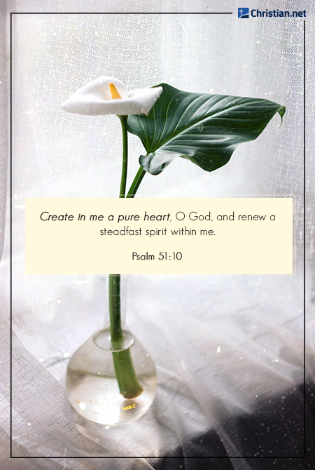photo of a lily in glass vase, against a windowsill with sheer white curtains, verses on purity