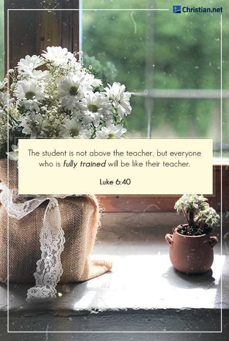 photo of white flowers in a burlap sack tied with a white lace ribbon next to a small pot with a plant, on a windowsill, proverbs for teachers
