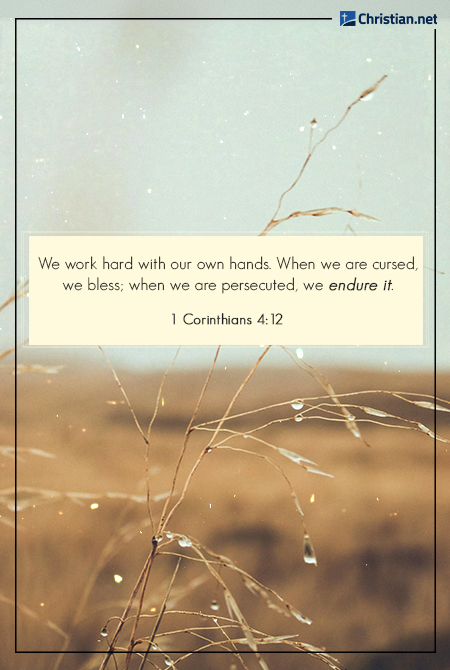 close up photo of dried wild grass with water droplets in an open field, blurry background, bible verses about hard work