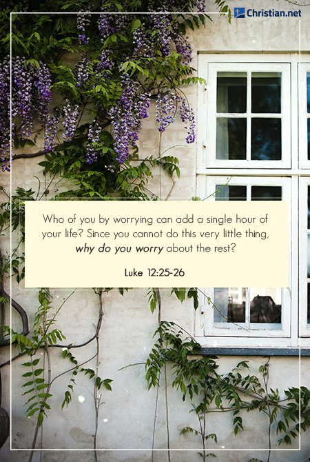 plants and vines draped across a wall, purple flowers, white window, bible verses for overwhelming times