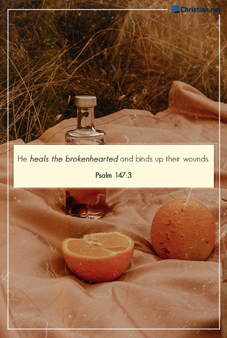 photo of oranges and a bottle of liquid on a picnic blanket laid on a field of grass, loss of loved one quotes 