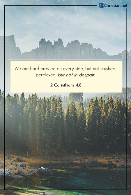photo of a forest of trees with mountains in the background, a lake at the bottom of the picture, bible verses about resilience