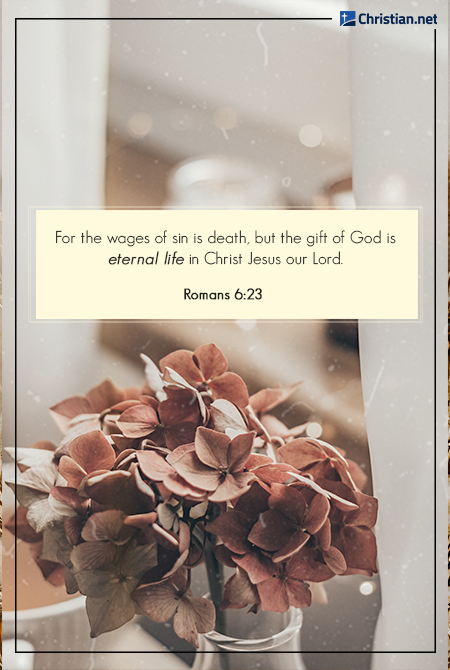 photo of red plants in a glass bottle by a windowsill, white curtains, bible verses for grief