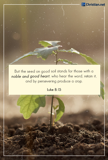 photo of a new plant with leaves sprouting up from soil, bible verses about resilience