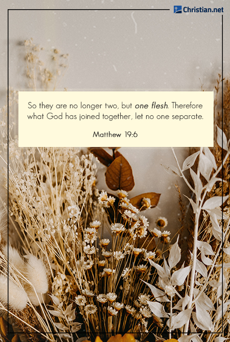 close up photo of dried flowers and other dried plants, bible verses about missing someone