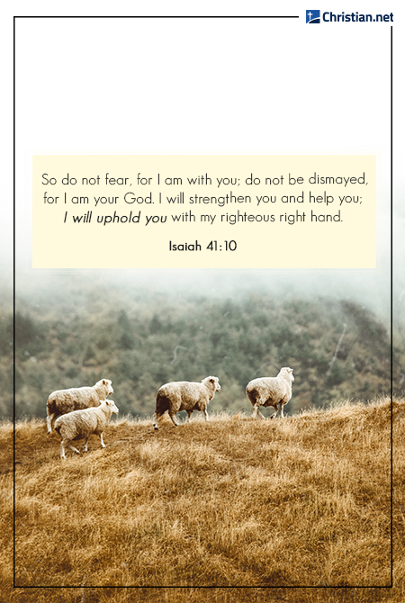 photo of three sheep on a grassy hill, foggy hill in the background, bible verses for healing