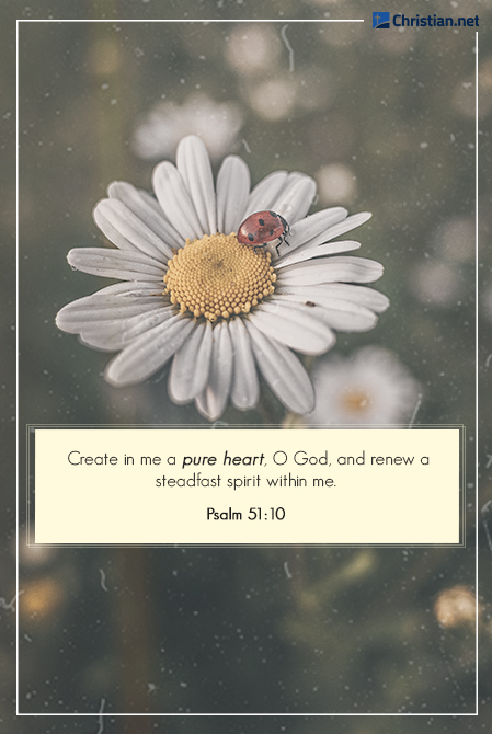 Close up image of a red ladybug on a white daisy, bible verses about purity