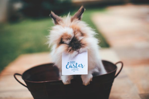 70+ Easter Quotes To Inspire Lives