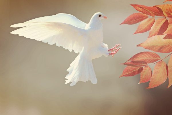 Getting The Gifts Of The Holy Spirit: How And When