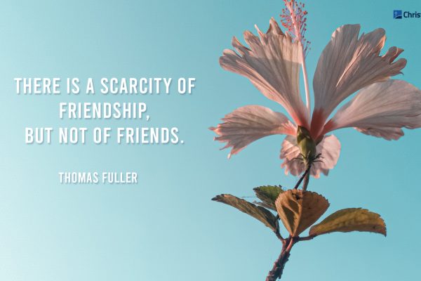 30 Tender And Wise Bible Verses About Friendship