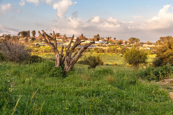 Biblical Landmarks In Israel